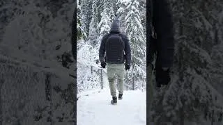 Thumbnail: Winter