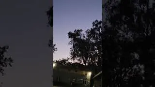 Thumbnail: we have many good nights for observing.  Venus will climb higher before it switches to the morning.