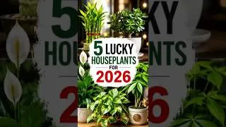 Thumbnail: 5 Lucky Houseplants for 2026 🍀🌿 (You Need These!)