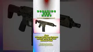 Thumbnail: NEW RIFLE