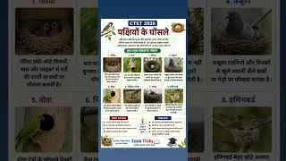 Thumbnail: CTET 2026 | पक्षियों के घोंसले| Exam Tricky #specialeducation #ctet2026