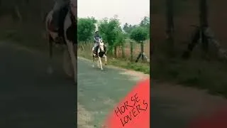 Thumbnail: Me ridding  horse in 45 km #sindhi #horse lover #exoticpets.