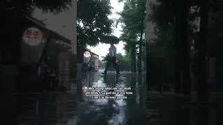 Thumbnail: Rain is a Photographer's Best Friend