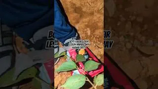 Thumbnail: Karma exists | Hiking in Pakistan