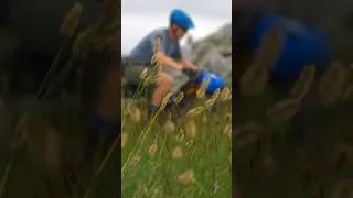 Thumbnail: Trans Balkan Race 2023 - Day 4 // Fluffy dogs and wild horses