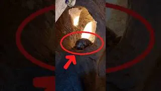 Thumbnail: I Couldn't Believe What Was Inside This Cave