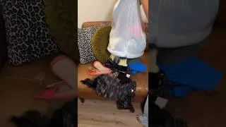 Thumbnail: POV: Decluttering is harder than it looks