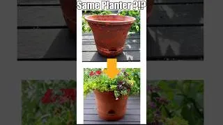 Thumbnail: Easy Planter Flip | Trash to Terracotta Treasure!