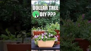 Thumbnail: NO Spray Paint PLUS Secret Ingredient -  Dollar Tree to Stone Look Planter