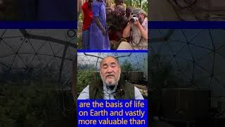 Thumbnail: Climate Impacts in India and China