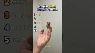 Thumbnail: Ranking Best Lizard Moments 😂