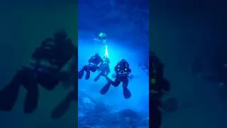 Thumbnail: 5 diver bodies found in Maldives #shorts #maldives