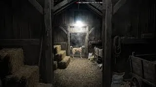 Thumbnail: Kangal vs Wolf: The Battle for Survival #animalshowdown #apexpredators #dogvswildanimal