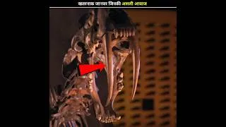 Thumbnail: इन खतरनाक जानवर की आवाज आपने कभी नहीं सुनी होगी | You've never heard a dangerous animal's sound