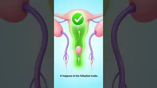 Thumbnail: Where Does Fertilization Happen? (Most Get It Wrong!) 😳 #biology #fahim #education #grade9 #facts