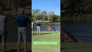 Thumbnail: Thats Wild!