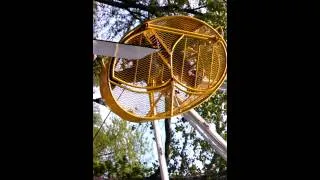 Thumbnail: Jordan rocking in one of the classic rides at Coney Island after the Autism Speaks Walk