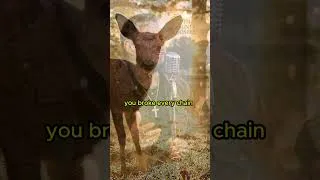 Thumbnail: Jesus Broke Every Chain In My Life 🙏