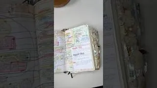 Thumbnail: What I write in my Bible & why!