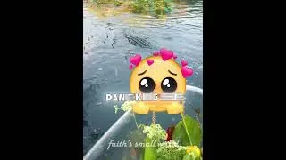 Thumbnail: Alligator Couldn't Ask for a Better Meal 🤣💀#shorts