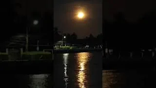 Thumbnail: ở đời muôn sự tại duyên thầy thích Chánh Định