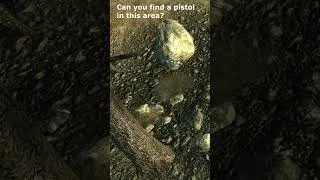 Thumbnail: Can you find a pistol in this area? (Revolver)