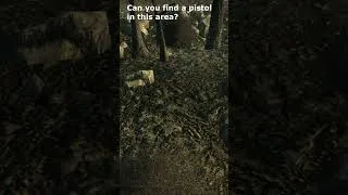 Thumbnail: Can you find a pistol in this area? (Revolver)