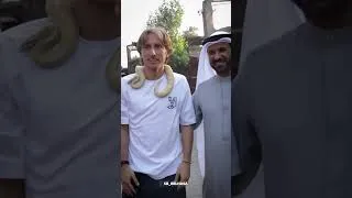 Thumbnail: Luka Modrić Was NOT Ready for This 😂 #shorts #lukamodric #croatia #funny