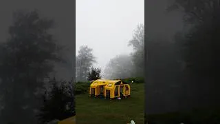 Thumbnail: Rainy Forest Camping #raincamping