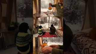 Thumbnail: Snow, Camp & Calm #snowcamp #hottent #camping