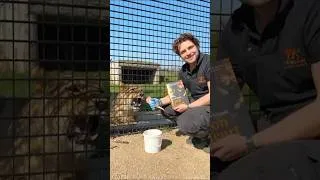 Thumbnail: Cam Whitnall | Yuna's Story | Lionheart Live | FANE