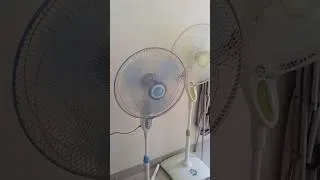 Thumbnail: Miyako kaki silang |#kipasangin #fan #collection #edit #viralshort #beranda #barangjadul
