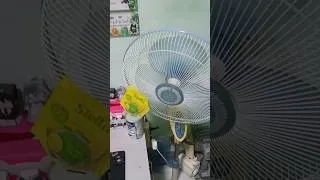 Thumbnail: lama tidak kelihatan dia :v |#kipasangin #fan #collection #edit #viralshort #beranda #barangjadul