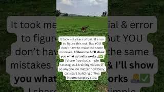 Thumbnail: 👩‍💻 Skip the Mistakes: Step-by-Step Tips to Build Online Income 📝