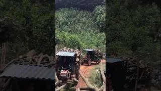 Thumbnail: Xe công nông chở củi ngày mưa #farmer #congnong #congvieclamthem #congnongbabanh