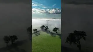 Thumbnail: Magical mist                             #devon #mavic3