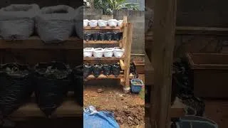 Thumbnail: The Mult Stall Gardens