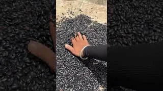Thumbnail: We call it hulga