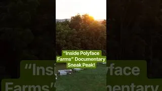 Thumbnail: Take a peak at the upcoming Joel Salatin documentary “Inside Polyface Farms” releasing September 26!