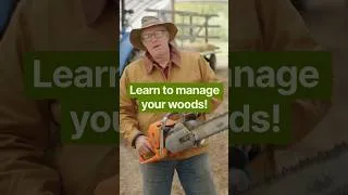 Thumbnail: Joel Salatin’s “Woodlot Management” Course is out today! Learn to manage your forest and make $!