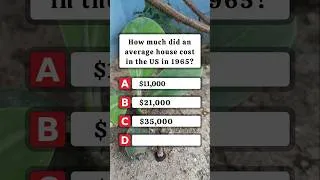 Thumbnail: Do you remember the price in 1965? 🤔 Voice: My AI clone #usaquiz #1960s #ushistory
