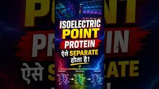 Thumbnail: Isoelectric Focusing | Protein Separation | आसान भाषा में समझें |