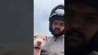 Thumbnail: Sikandar daughter chali gye😭🐶