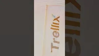 Thumbnail: FDC X Trellix
