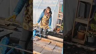 Thumbnail: NoDig / No Till raised bed