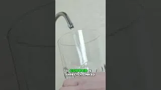 Thumbnail: Understanding Copper-Zinc Imbalance