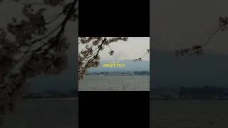 Thumbnail: Postcards from Mount Fuji 🎞️ #japan #travel #photography #fuji #travelvlog #backpacking #cinematic