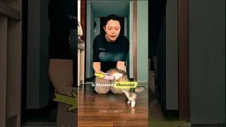 Thumbnail: This Kitten is a Certified Food Burglar! 😹🍛 #shorts