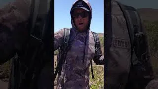 Thumbnail: BIG BROWN SNAKE