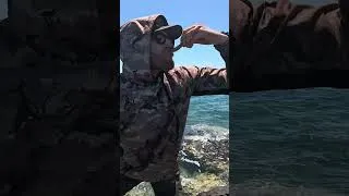 Thumbnail: EATING OYSTERS LIKE ROYALTY